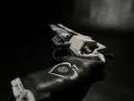 Ace of spades replica destiny 2 by Greencade