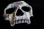 Ghost Jawbone Mask Replica Call of Duty - Greencade