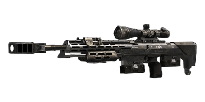 DSR 50 Call of Duty 3D rpinted replica by greencade