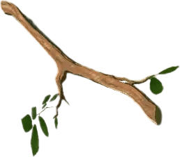 Tree Branch 3d printed replica from The Legend of Zelda