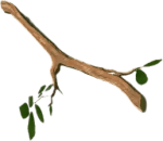 Tree Branch 3d printed replica from The Legend of Zelda