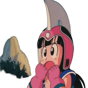 Chi-Chi's helmet 3d printed replica from dragon ball
