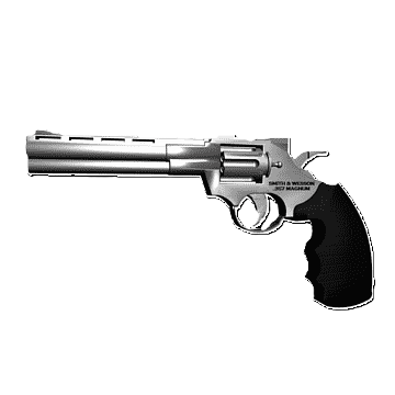 Half-Life Magnum