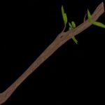 Tree Branch - The Legend of Zelda (Pre-Order)